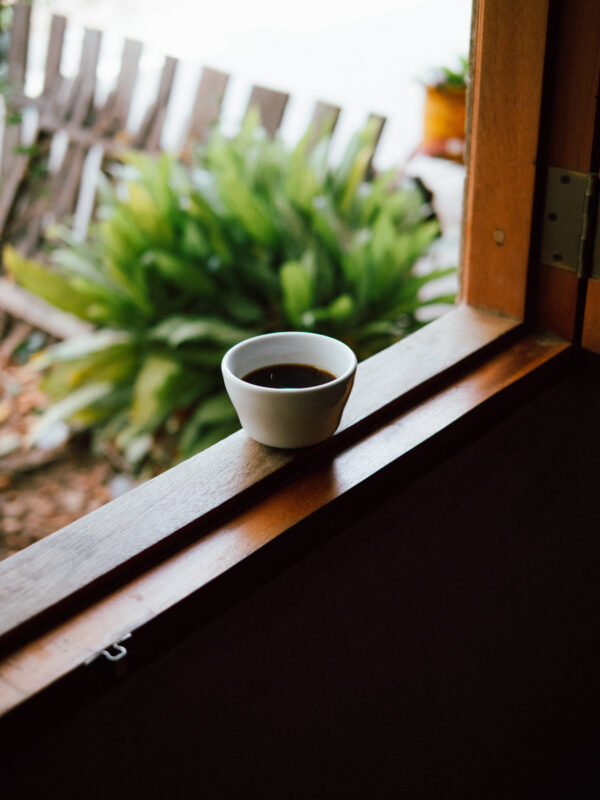 freshly brewed coffee in windowsill with green plant background
