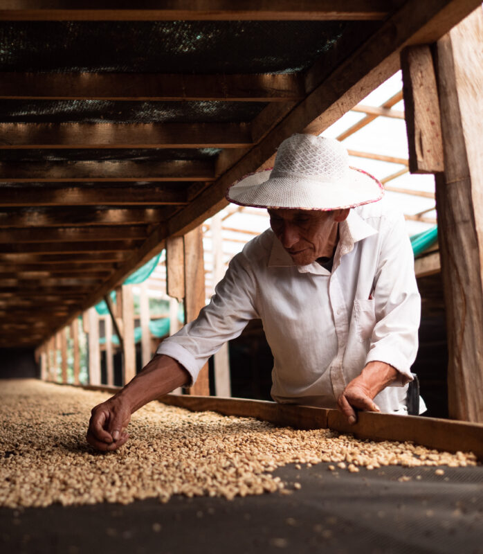 what is washed processed coffee? find out and buy organic washed processed coffee at ØNSK