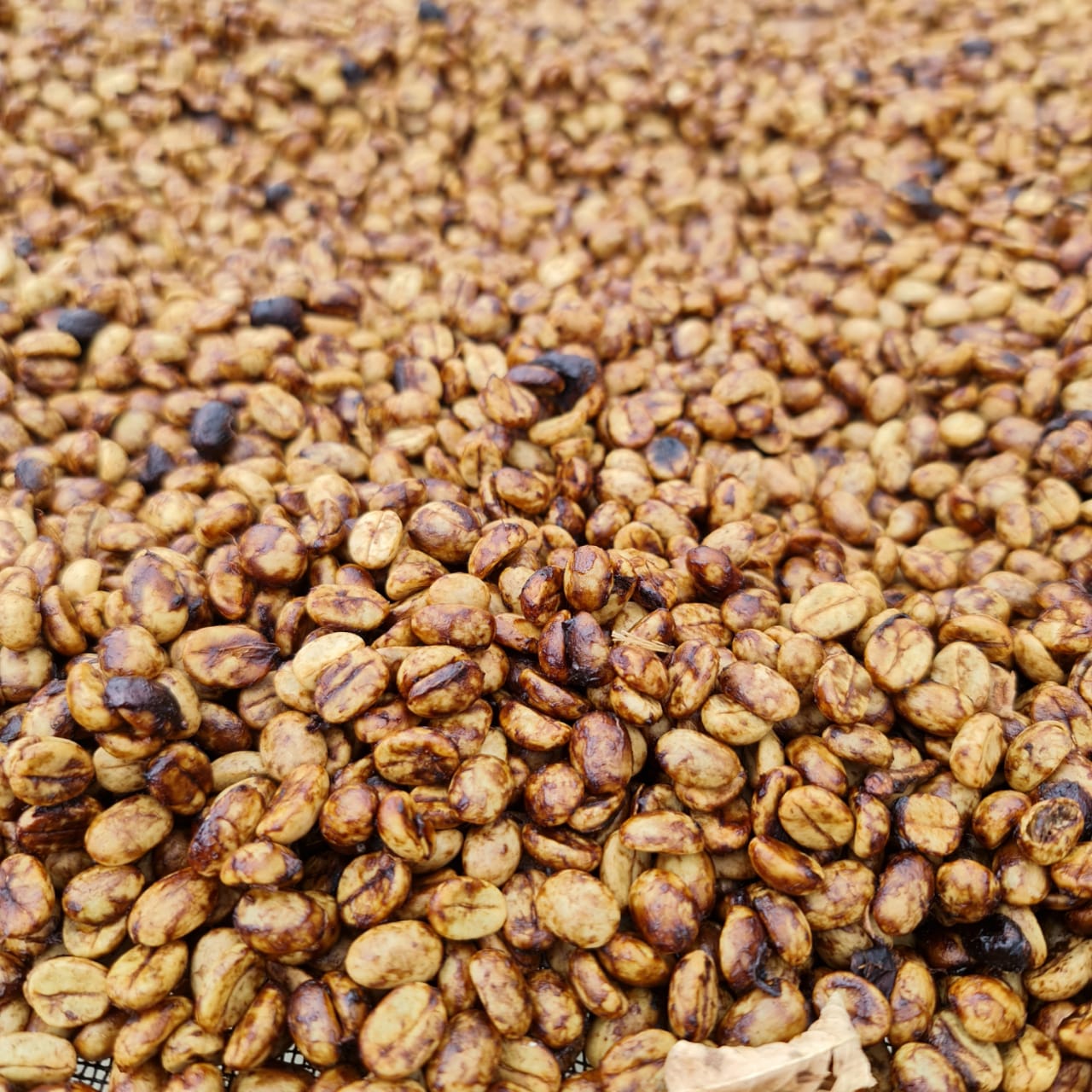 honey processed coffee from ØNSK