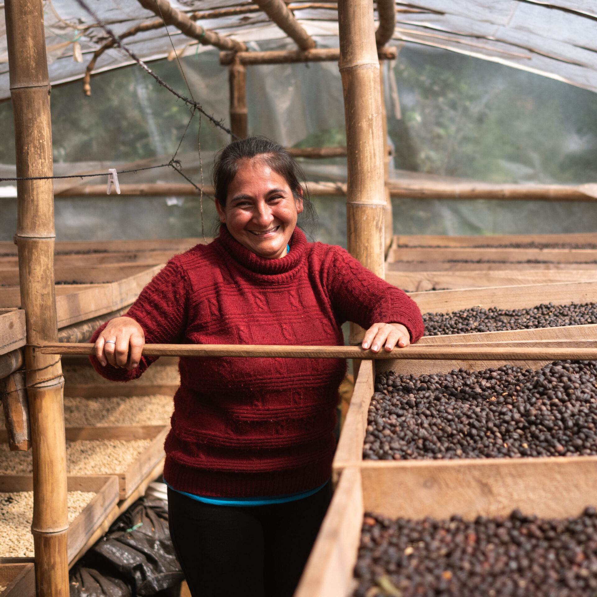 Laura Chavez tørrer natural kaffer i Peru