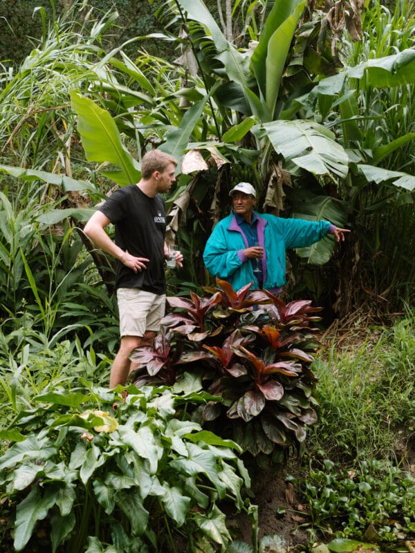 Bæredygtig-økologisk-kaffeproduktion-Leonel