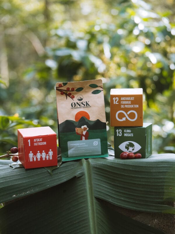 Bedste-økologiske-kaffe