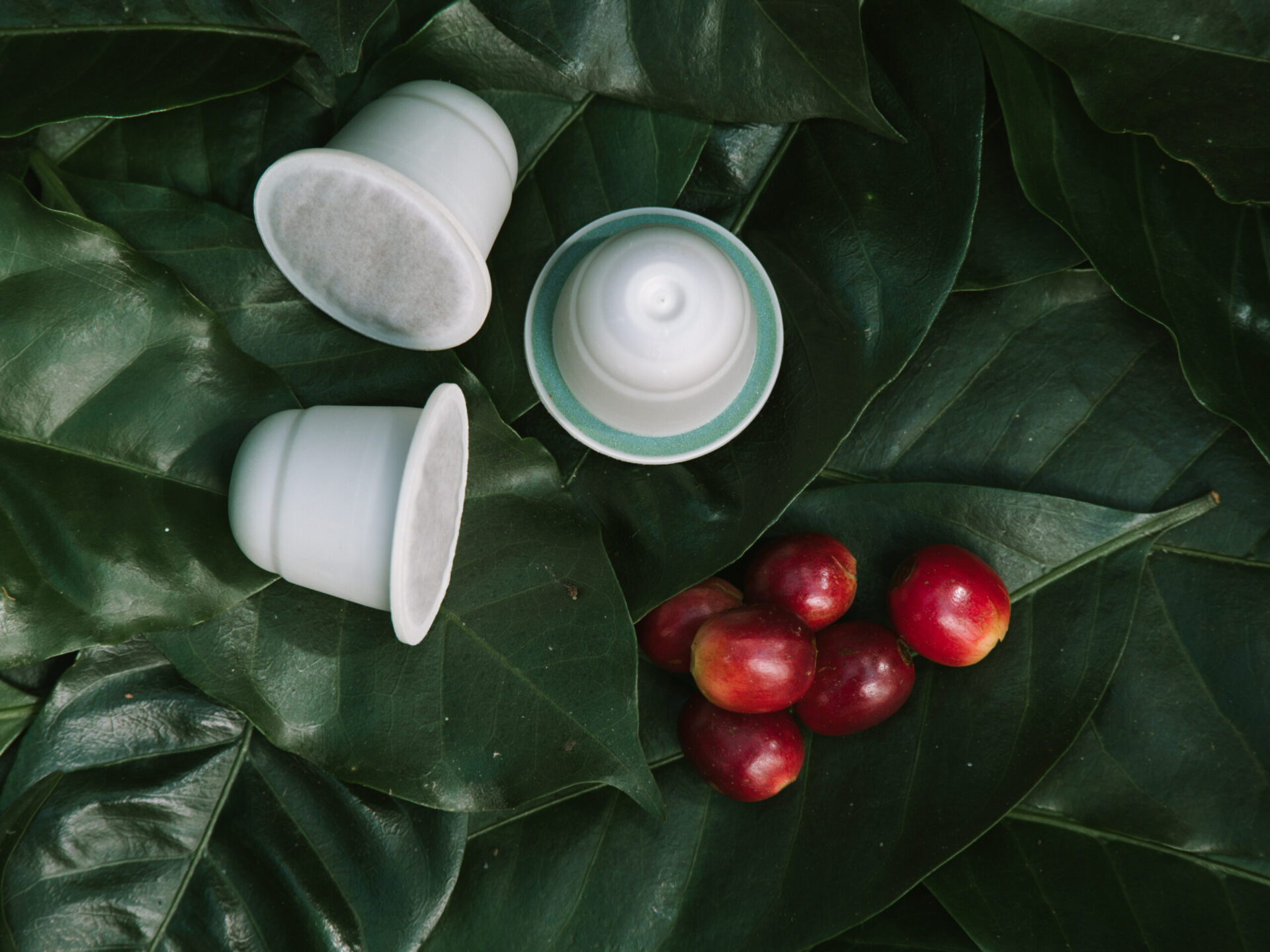 miljøvenlige-og-økologiske-kaffekapsler-ØNSK