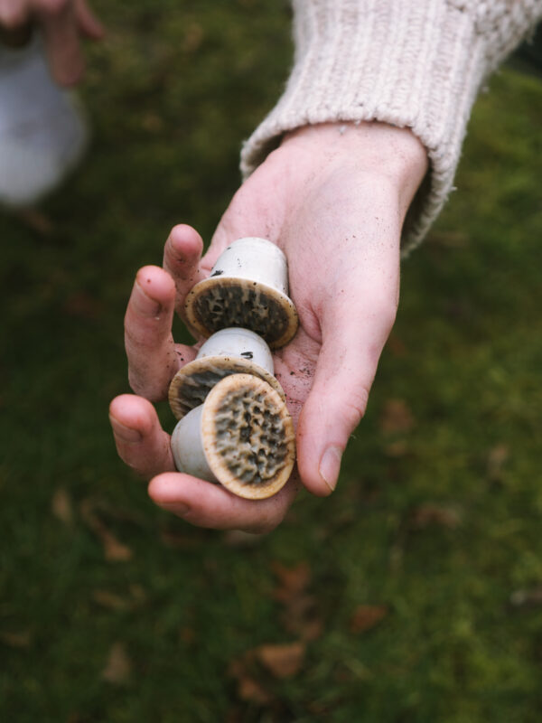bionedbrydelige-komposterbare-kaffekapsler
