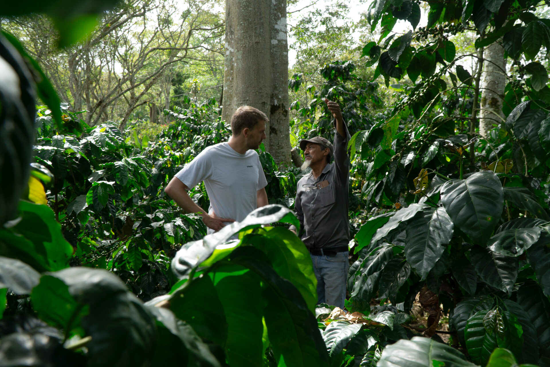 skovkaffe-med-reduceret-co2-aftryk-Leonel-ØNSK