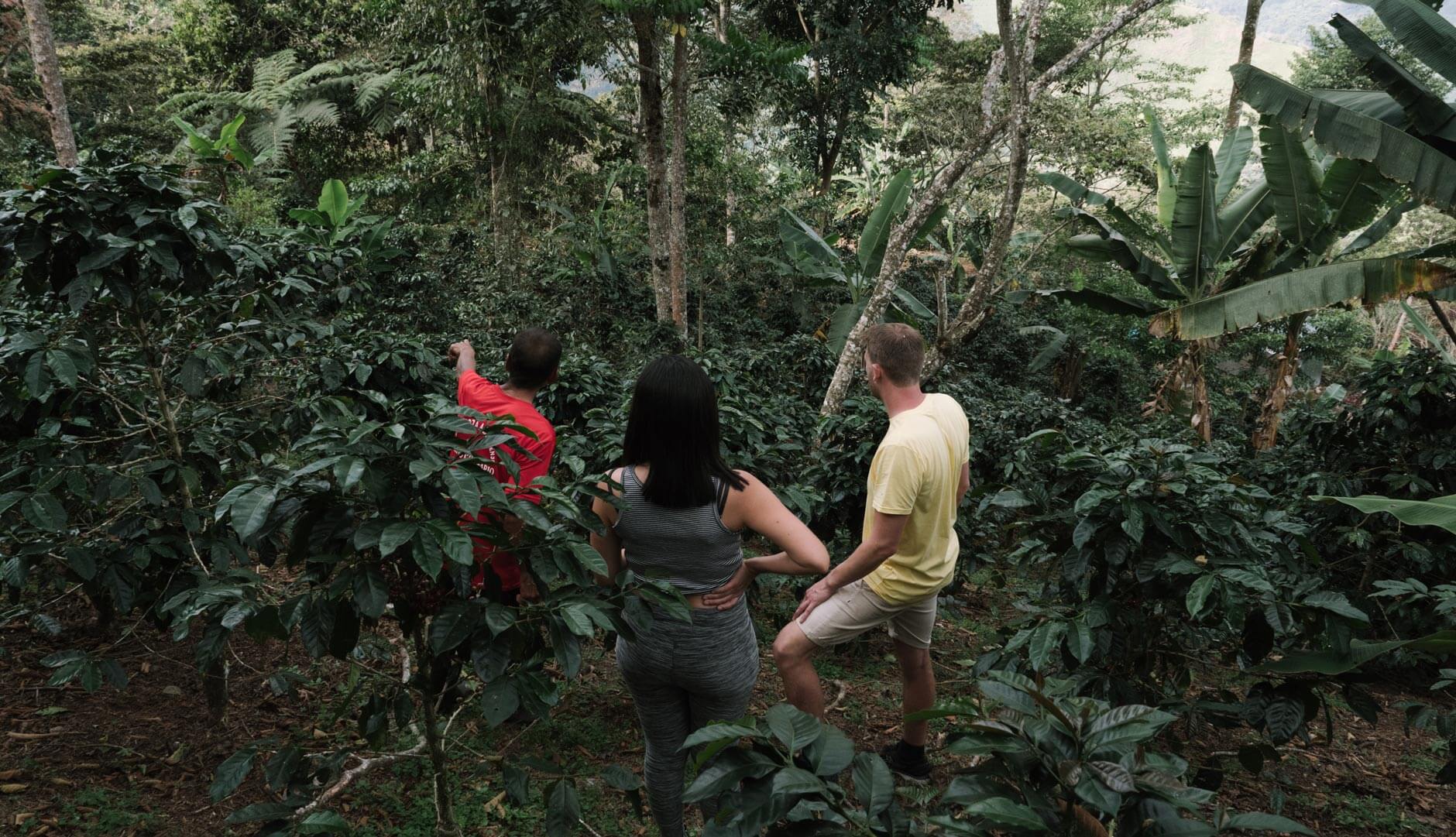 Impact og ansvarlighed