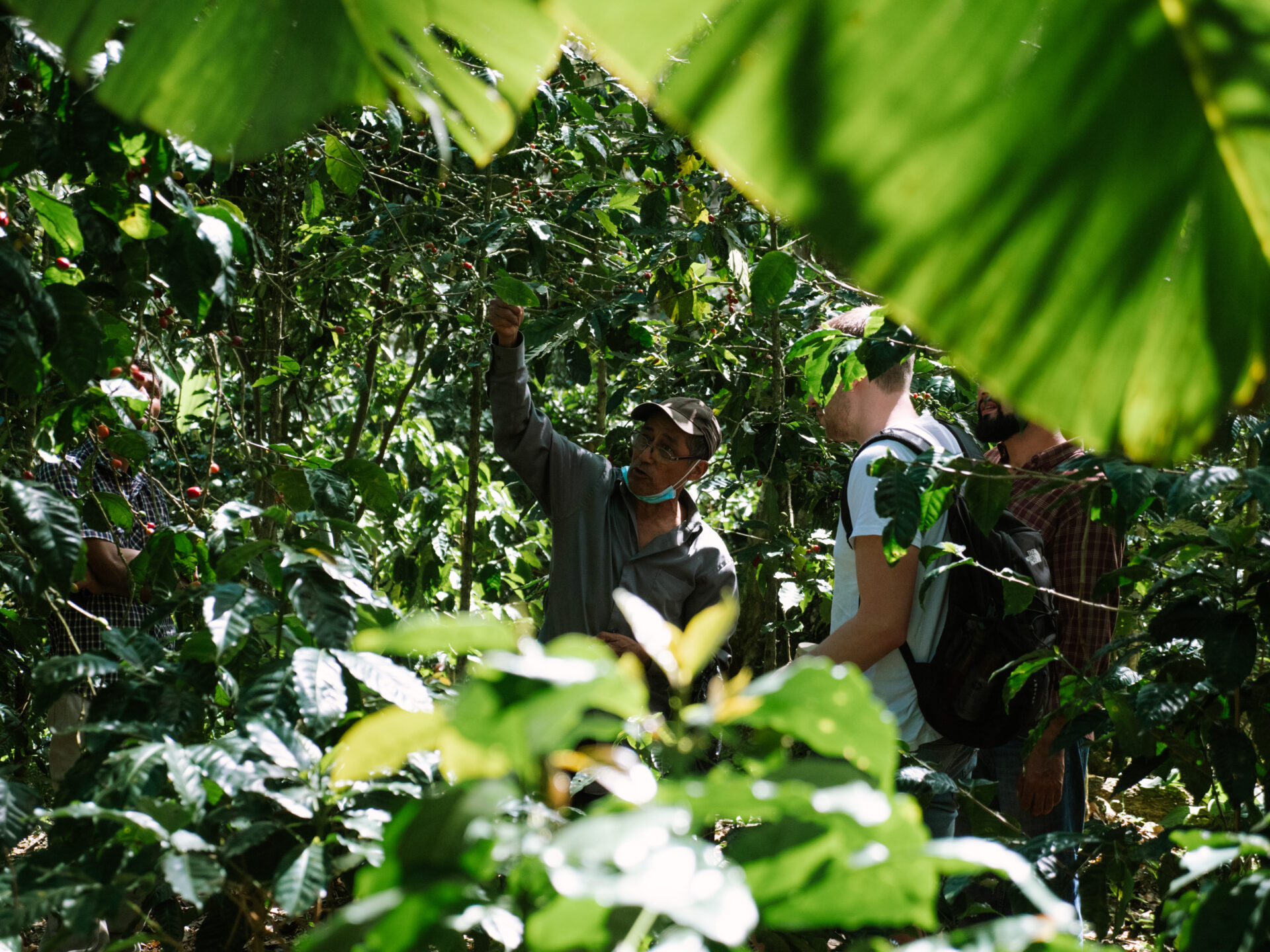 Kaffeløsninger til virksomheder_kaffe til erhverv_ØNSK_Leonel