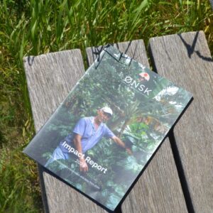 Impact Report handout (1-pager)