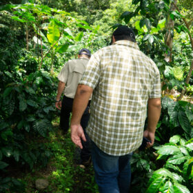 Tomas Rivera Café de ALturas 202519