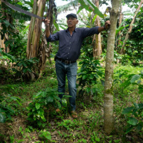 Tomas Rivera Café de ALturas 202521