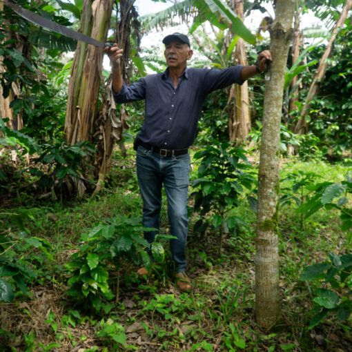 Tomas Rivera Café de ALturas 202521