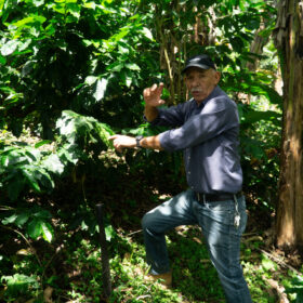 Tomas Rivera Café de ALturas 202523