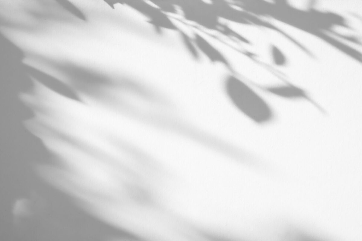 Gaveabonnement: Bønner