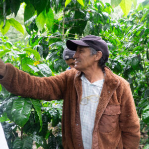 Alternative view of Månedens Kaffe – Leonel Valladares