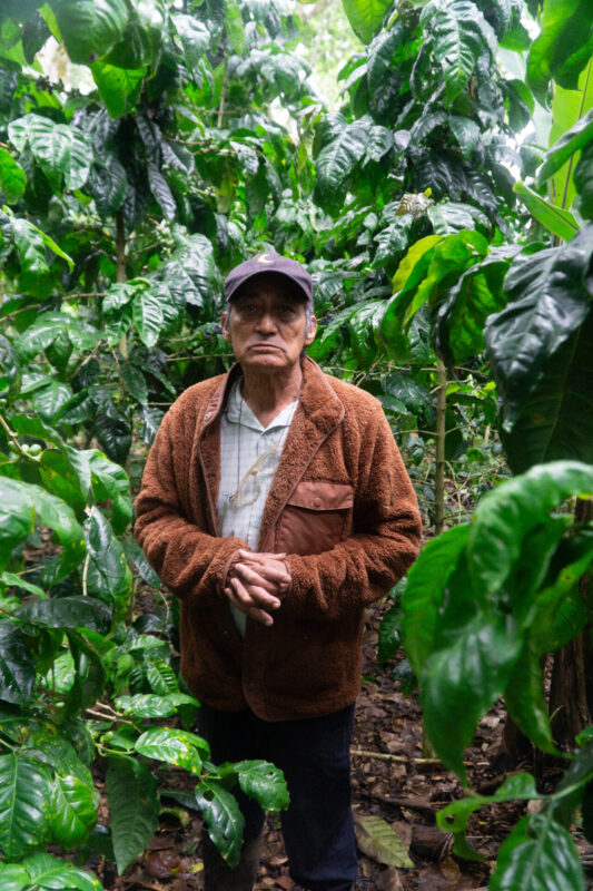 Månedens Kaffe – Leonel Valladares Månedens Kaffe – Leonel Valladares