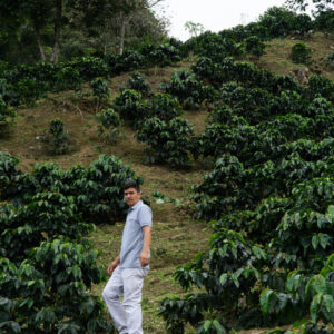 Alternative view of Månedens Kaffe – Cesar Sampertegui