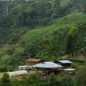 Cesar Sampertegui 2025 farm visit4