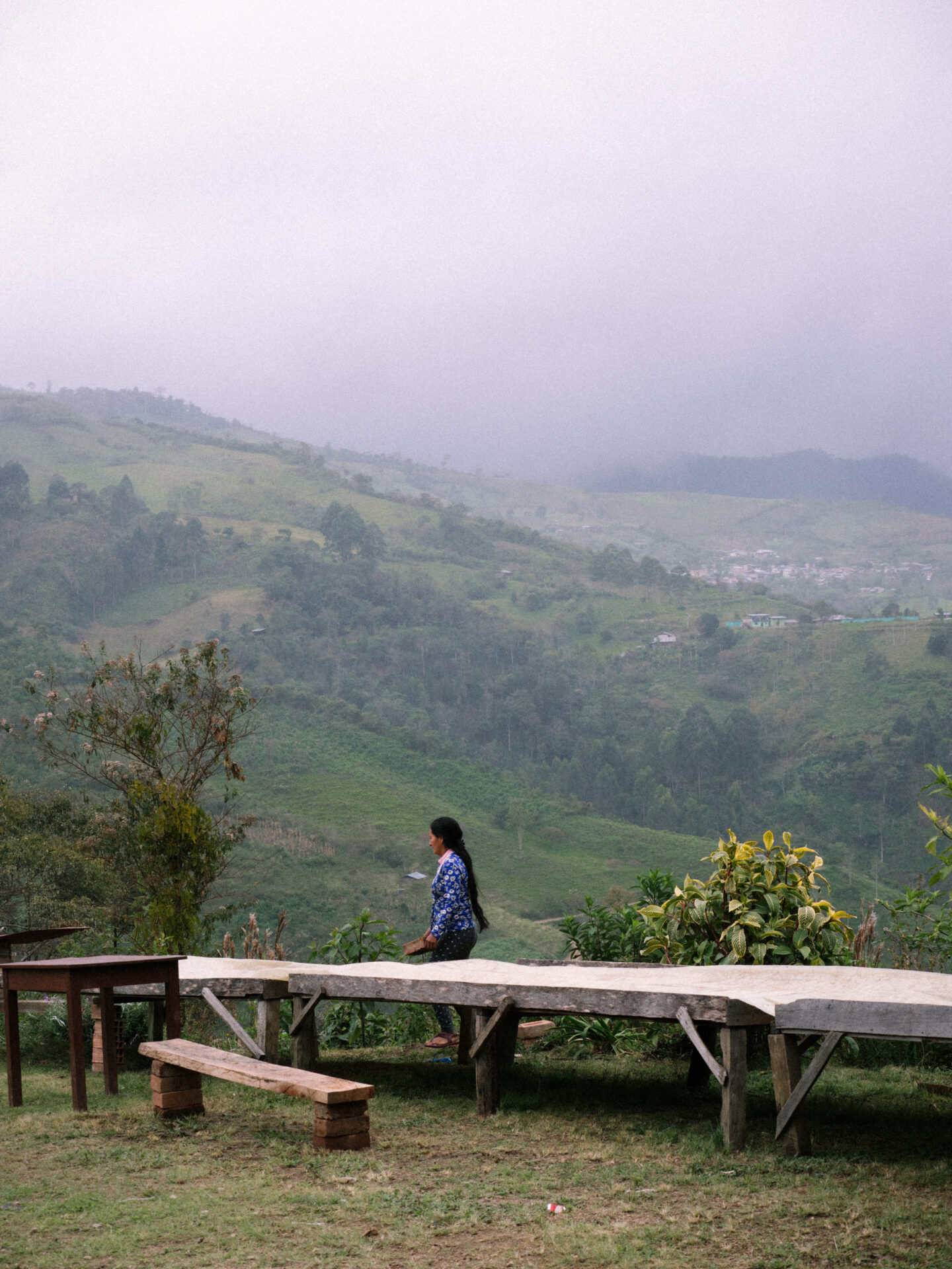 Cesar Sampertegui - Lysristet kaffe ØKO