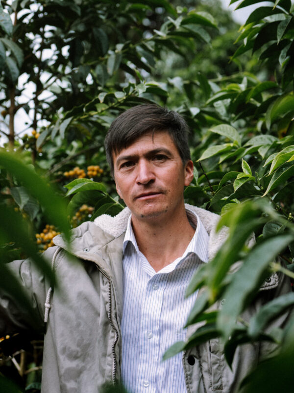 Cesar Sampertegui - Lysristet kaffe ØKO