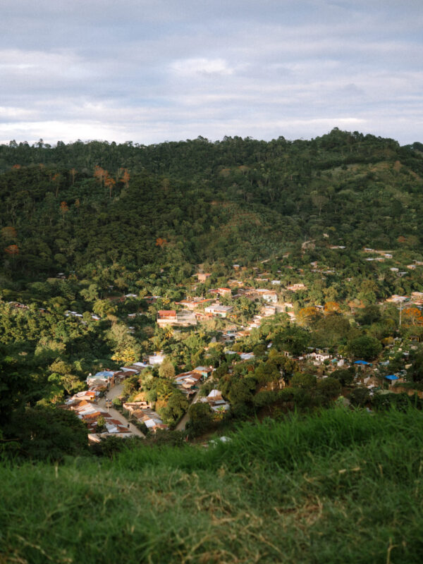 Corcasan - Mørkristet kaffe ØKO