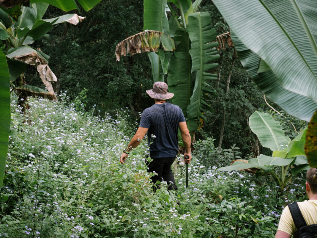 Corcasan - Mørkristet kaffe ØKO