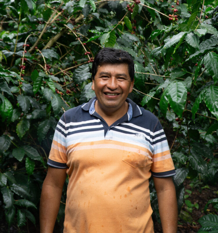 El Palto - Mørkristet kaffe ØKO