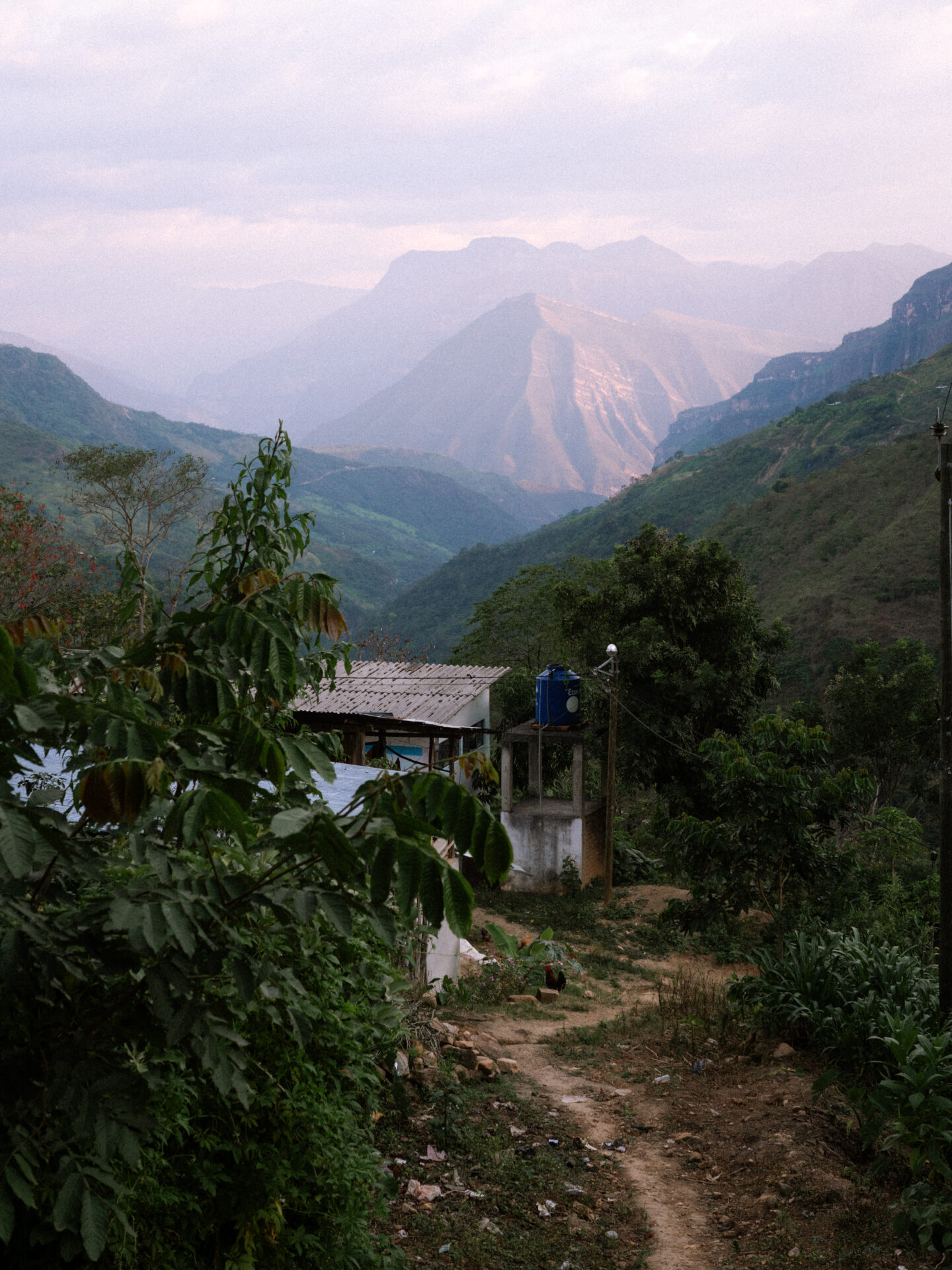 El Palto - Mørkristet kaffe ØKO