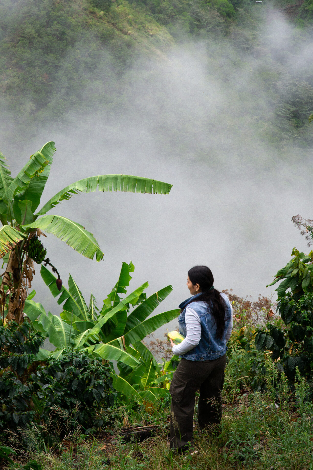 Kuska - Mellemristet kaffe ØKO