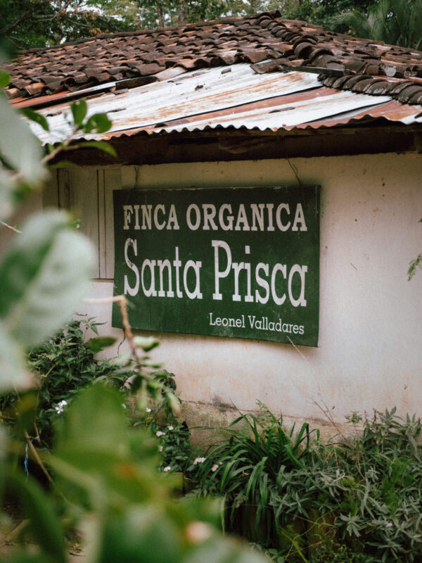 Leonel Valladares - Mellemristet kaffe ØKO