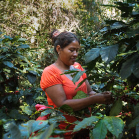 Responsible Sourcing Policy