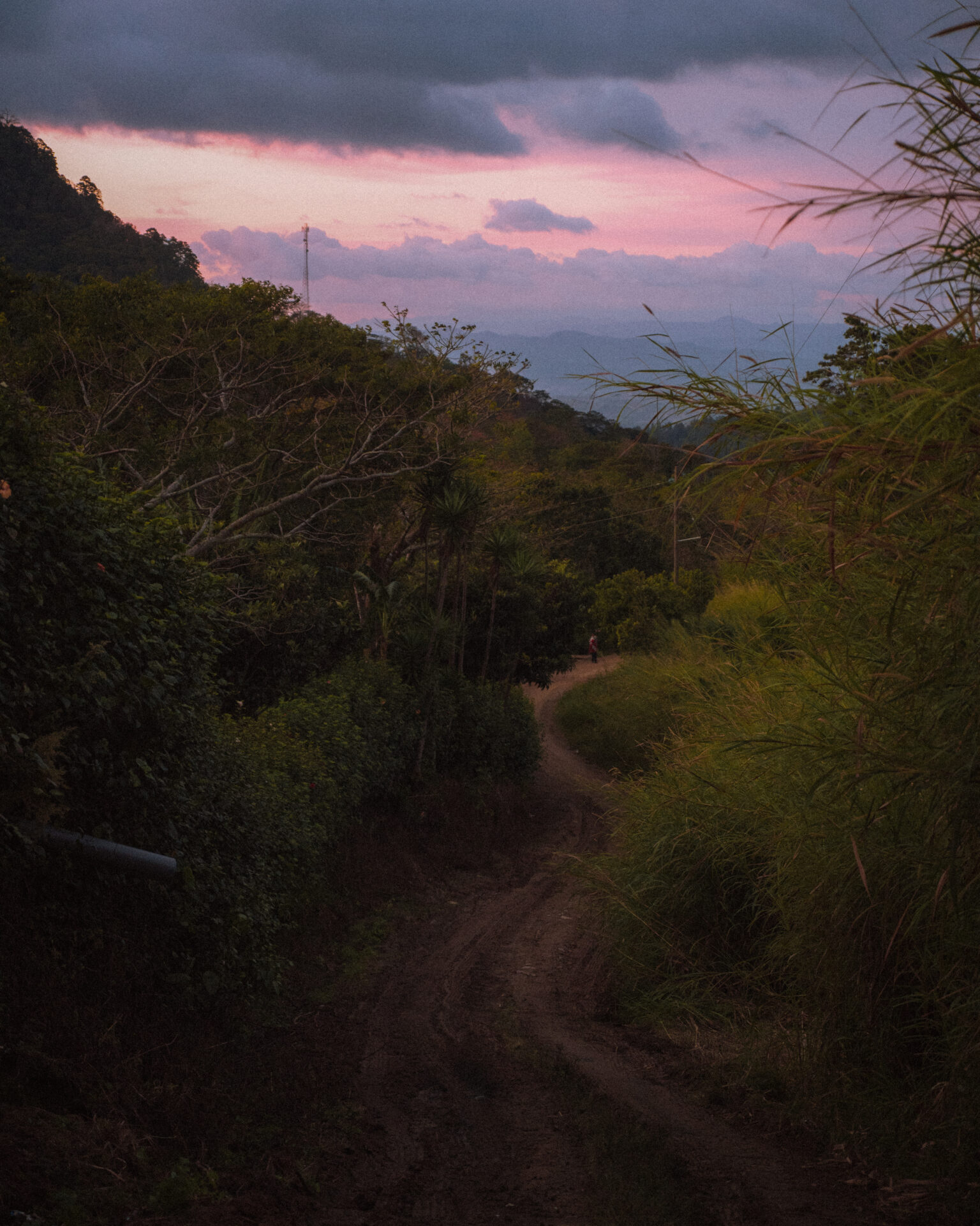 Leonel Valladares - Mellemristet kaffe ØKO