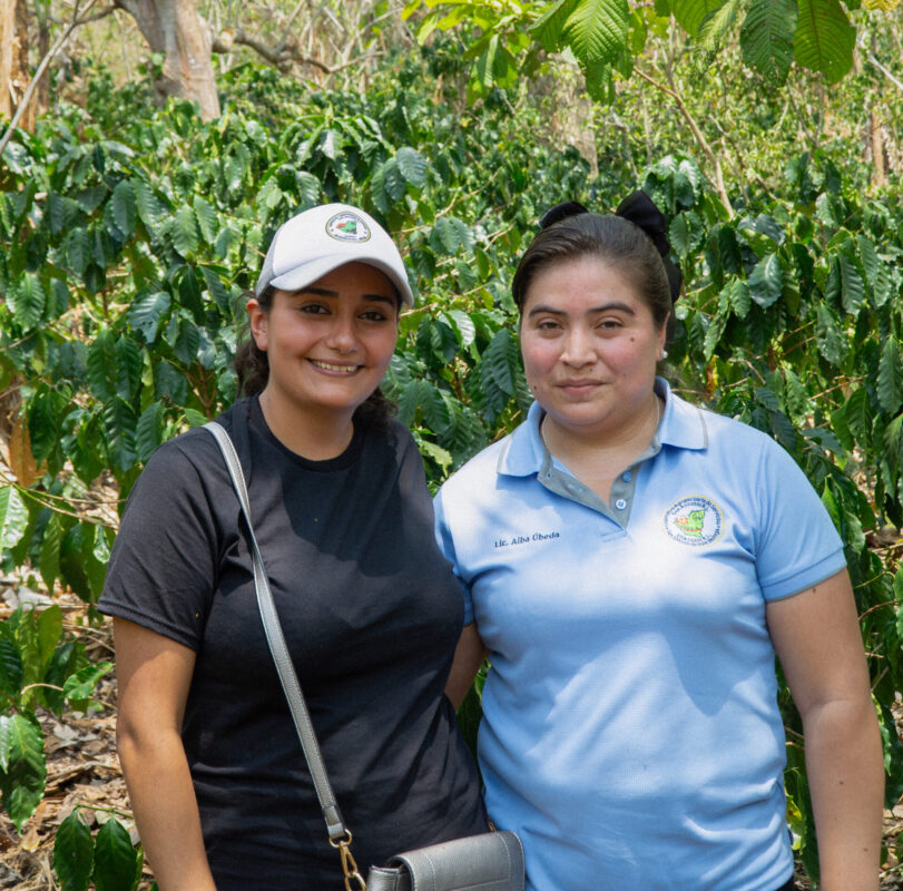 Señoras de Sisle - Mellemristet kaffe ØKO