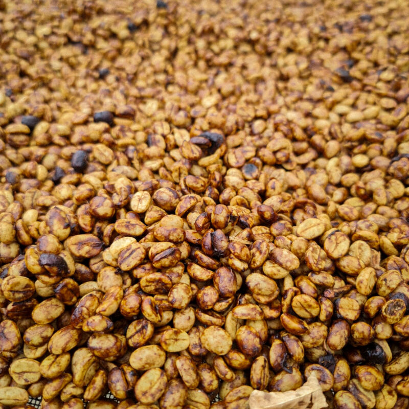 Her er hvad du bør vide om honey processeret kaffe