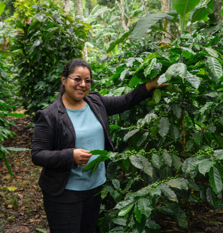 Månedens Kaffe – Douglas Lopez